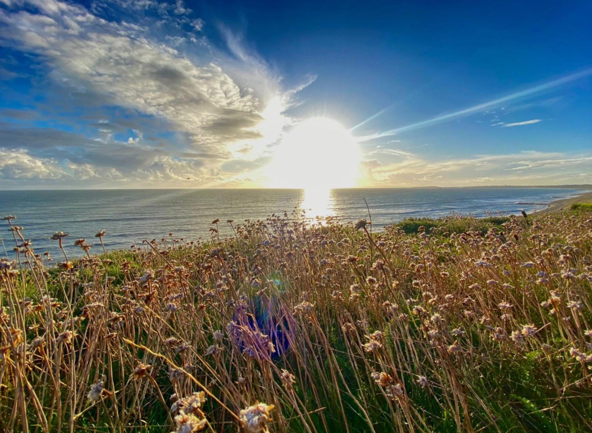 Seaside Escape In Central Bournemouth Spacious Stylish & Inviting Urban Heights Exterior photo